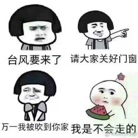 史上最丢人的台风（最奇葩台风）
