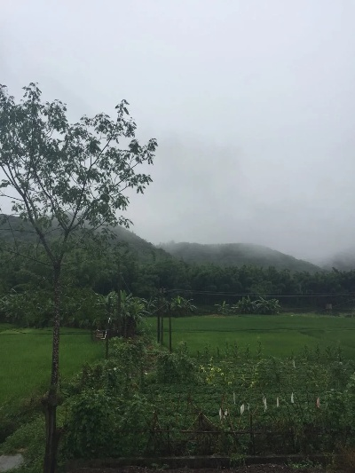 义门镇天气预报15天,一场与自然的温柔对话 义门镇天气预报15天,一场与自然的温柔对话