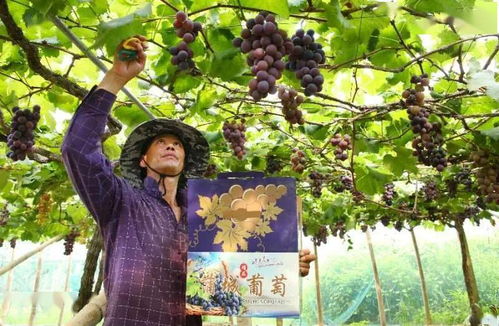 广东明天降温,一场久违的秋意正在派送 广东明天降温,一场久违的秋意正在派送
