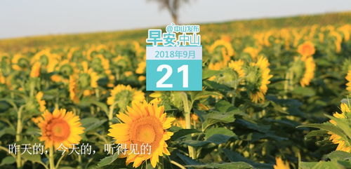 广东明天降温,一场久违的秋意正在派送 广东明天降温,一场久违的秋意正在派送