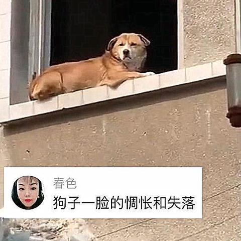 山东省气象台，风雨无阻的天气哨兵