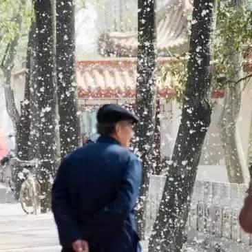 蚌埠天气预报,天气变化早知道,生活出行更从容 蚌埠天气预报,天气变化早知道,生活出行更从容