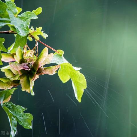 精准到分钟,实时天气预报如何告诉你几点几分下雨 精准到分钟,实时天气预报如何告诉你几点几分下雨